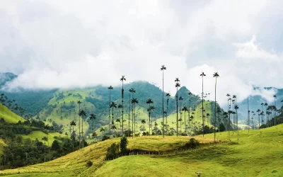 Los Mejores Spots para Fotos en el Quindío: Naturaleza, Cultura y Vistas de Ensueño